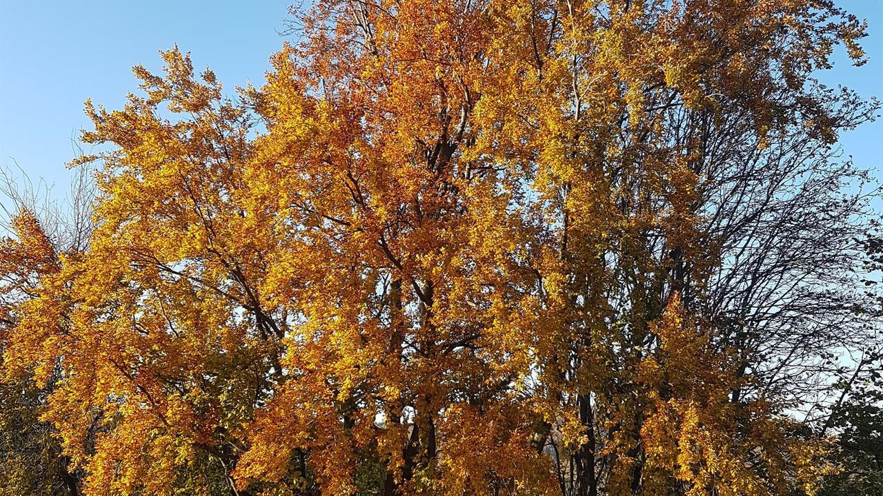 Herbst in der Rhön Herbst in der Rhön